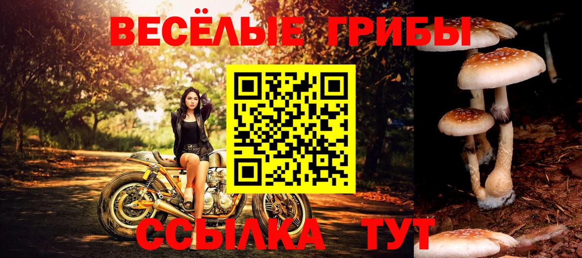 Галлюциногенные грибы прущие грибы Новоуральск