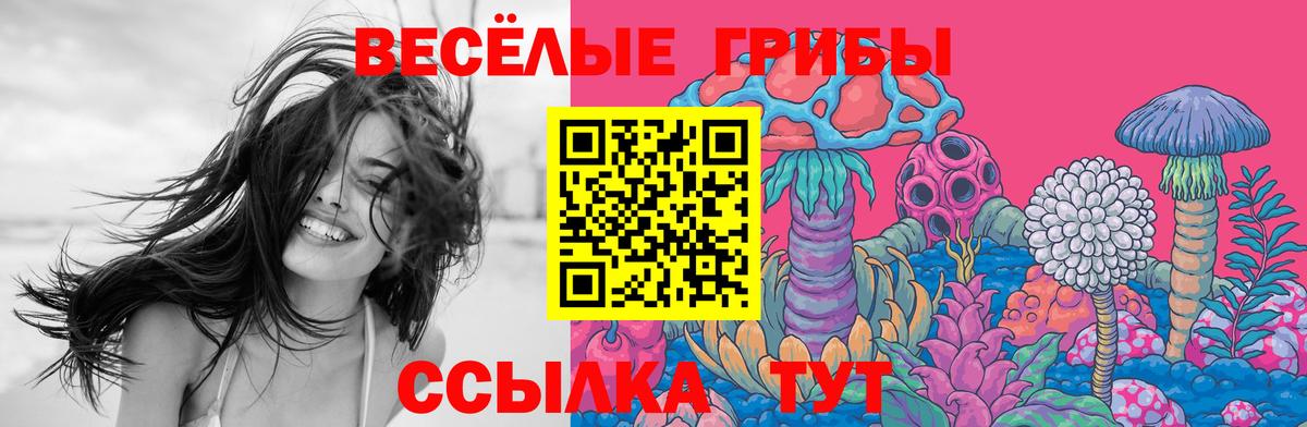 Новоуральск  Вход с VPN  Меф   Экстази  Канабис  МЕФ  Cocaine 