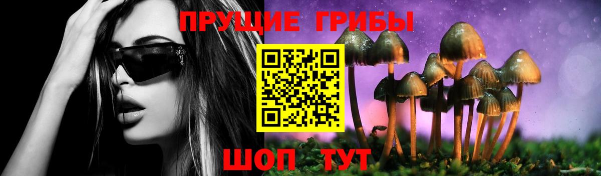 Галлюциногенные грибы GOLDEN TEACHER  Вход с VPN  Новоуральск 